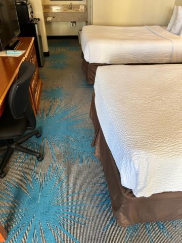 Days Inn By Wyndham Asheville West Candler Zewnętrze zdjęcie